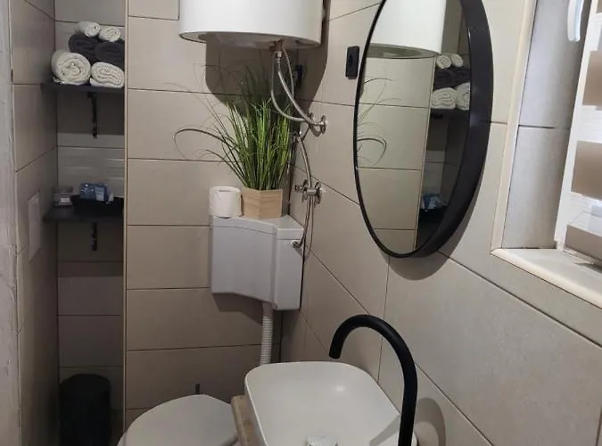 Licul Apartament
