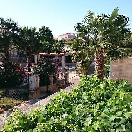 Licul Apartmán *