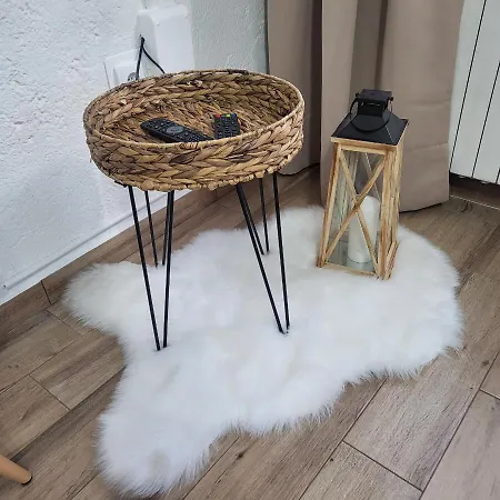 Licul Appartement *