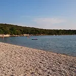 Licul